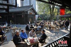 成都民众喝坝坝茶享受冬日暖阳